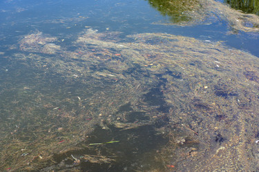 Similar image 21696833