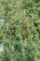 Similar image 21696835