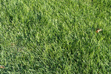 Similar image 21696837