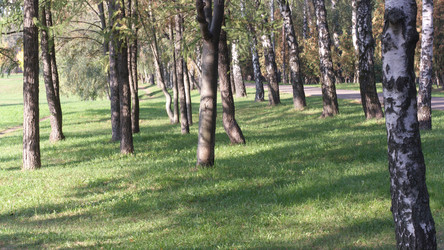 Similar image 21696840