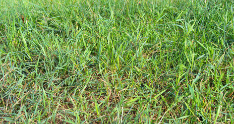 Similar image 21696842