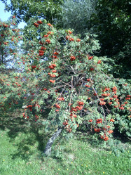 Similar image 21696849