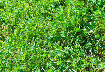 Similar image 21696851