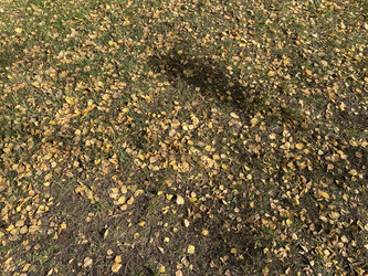 Similar image 21696852