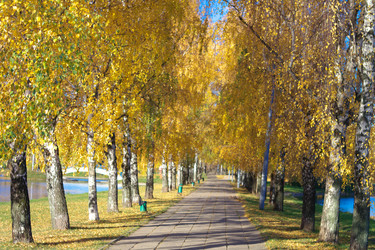 Similar image 21696853