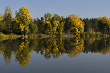 Similar image 21696296