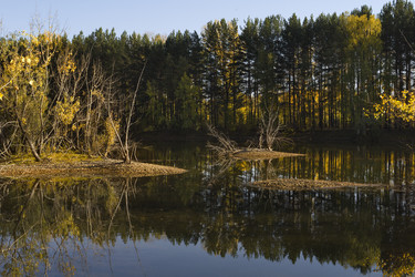 Similar image 21696297