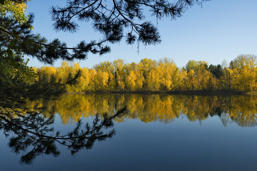 Similar image 21696301