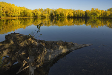 Similar image 21696302