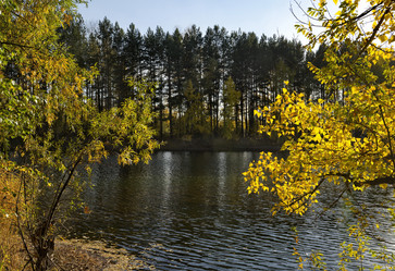 Similar image 21696305