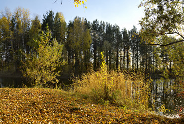 Similar image 21696306