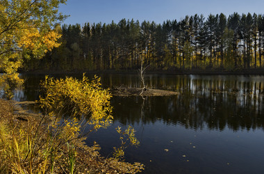 Similar image 21696307