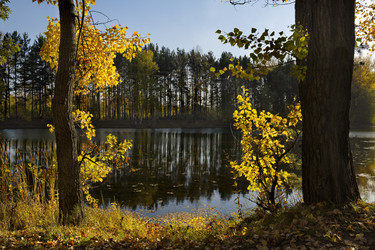 Similar image 21696308