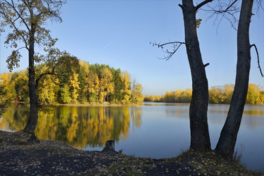 Similar image 21696310