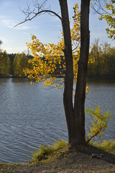 Similar image 21696313