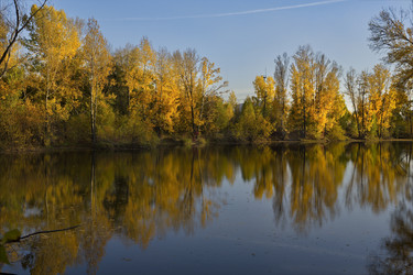 Similar image 21696318