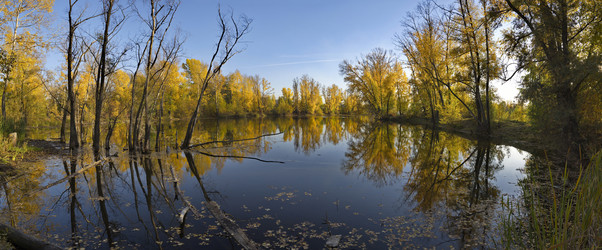 Similar image 21696320