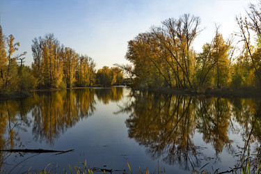 Similar image 21696322