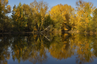 Similar image 21696323