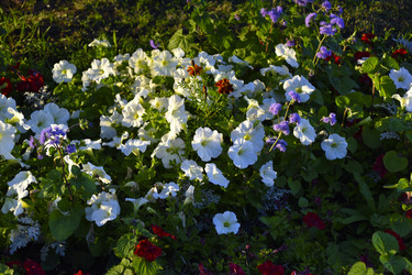 Similar image 21695754