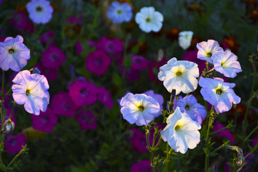 Similar image 21695759