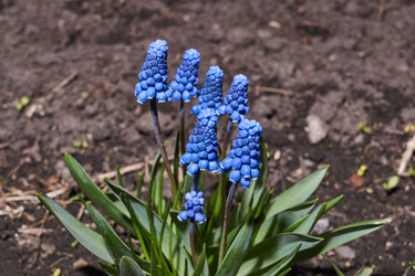 Similar image 21695916