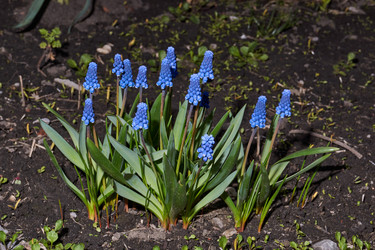 Similar image 21695917