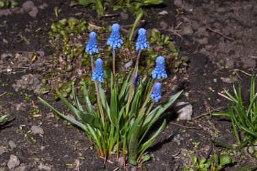 Similar image 21695918