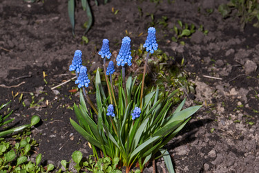 Similar image 21695919