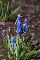 Similar image 21695921