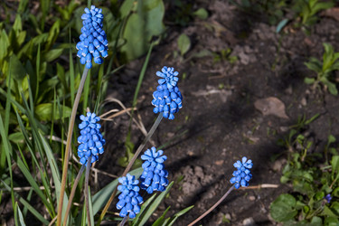 Similar image 21695923