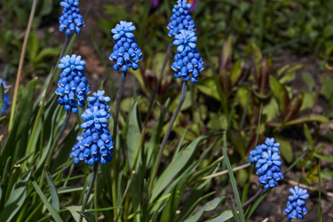 Similar image 21695926