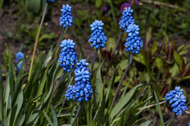 Similar image 21695928