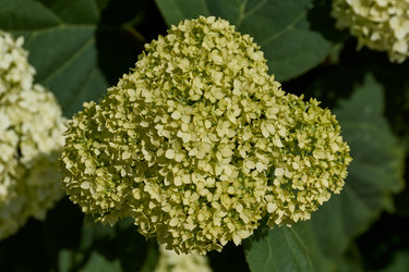 Similar image 21695936