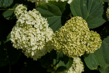 Similar image 21695937