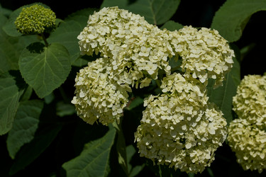 Similar image 21695938