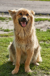 Similar image 21695939