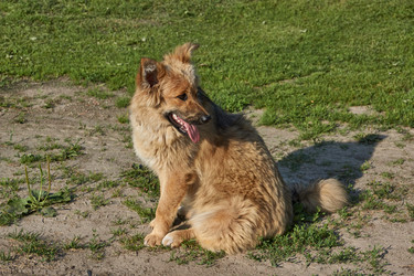 Similar image 21695940