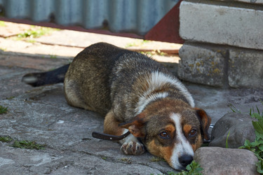 Similar image 21695941