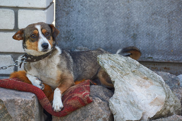 Similar image 21695942