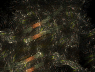 Similar image 21698208