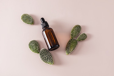 Similar image 21695948