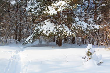 Similar image 21695969