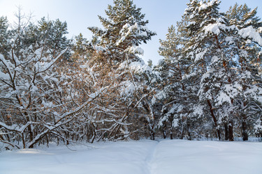 Similar image 21695972