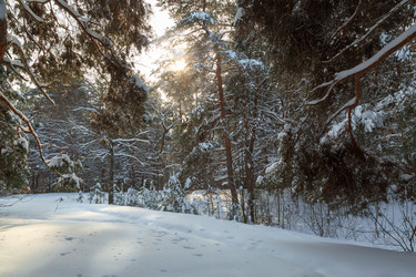 Similar image 21695973