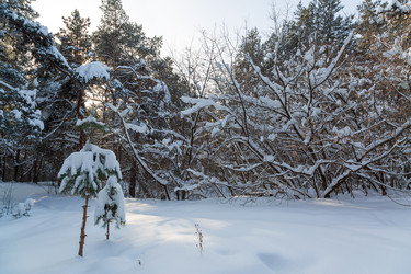 Similar image 21695974