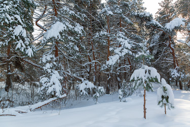 Similar image 21695975