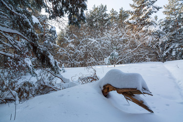 Similar image 21695976