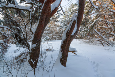 Similar image 21695977