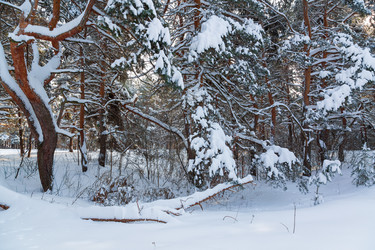 Similar image 21695978